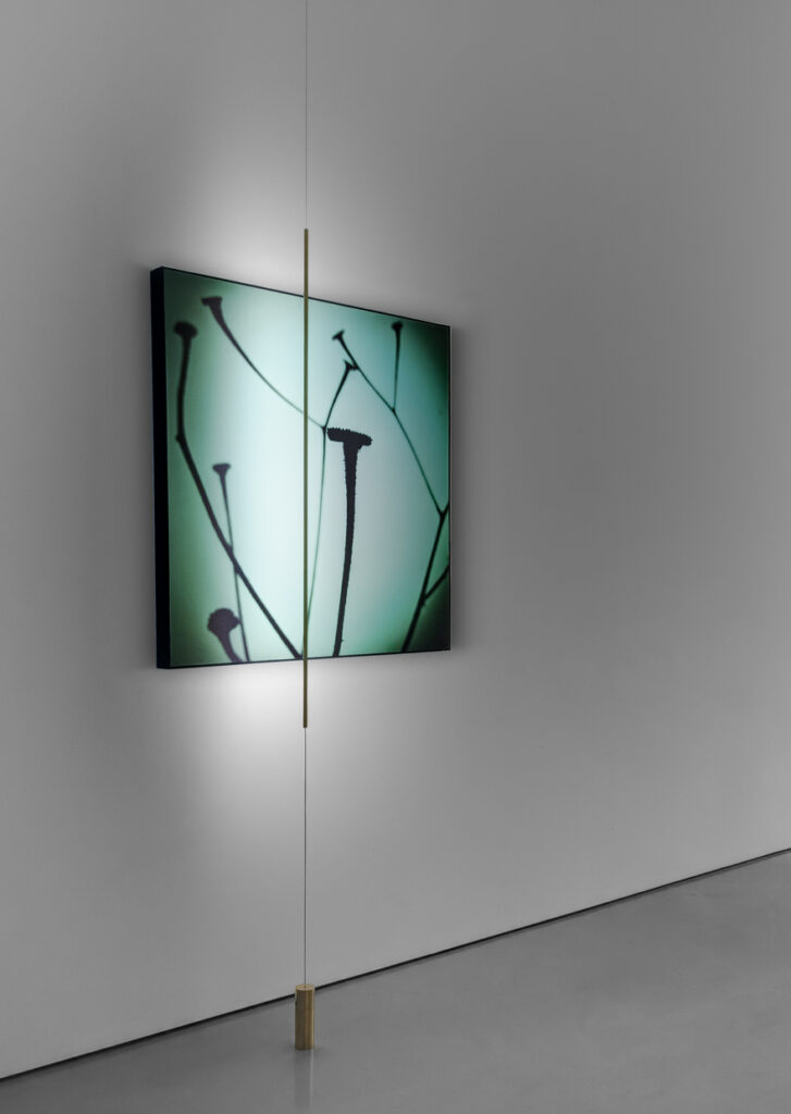 lampade-davide-groppi Masai